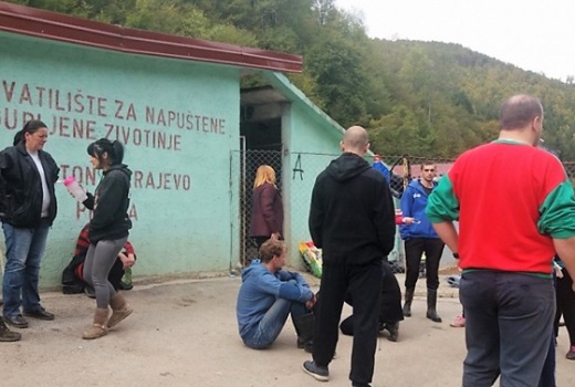 Koordinator sarajevskog azila za pse prijetio novinarki Žurnala