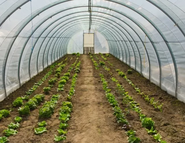 Kome opština Istočno Novo Sarajevo dijeli podsticaje za (poljo)privredu, spisak nije dostupan javnosti