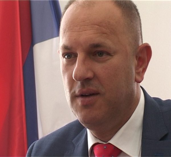 Petrović: Potrebna brža izgradnja dalekovoda
