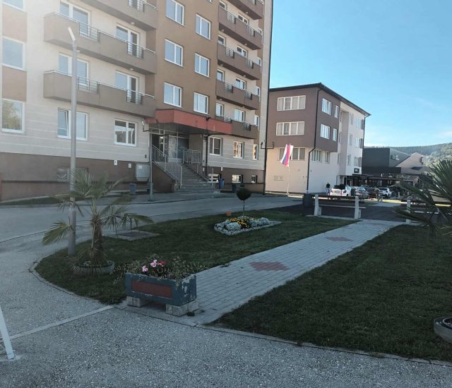 Постављање првих палми испред Студентског центра Пале: Дух Средоземља на Палама