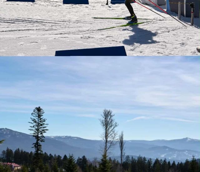 Свјетско јуниорско првенство у биатлону у Арберу